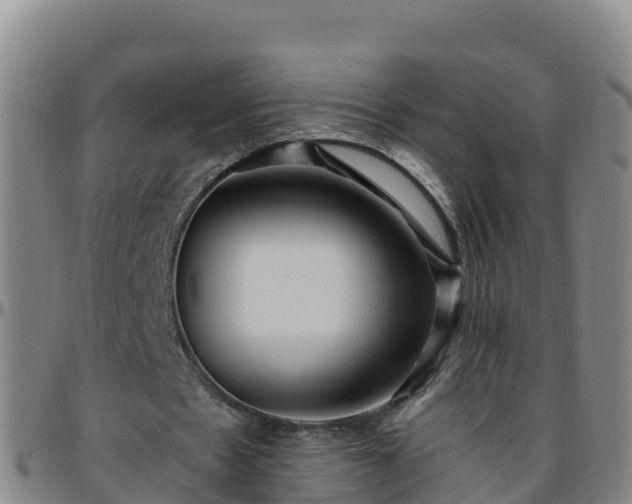 X0000096460481200801311515