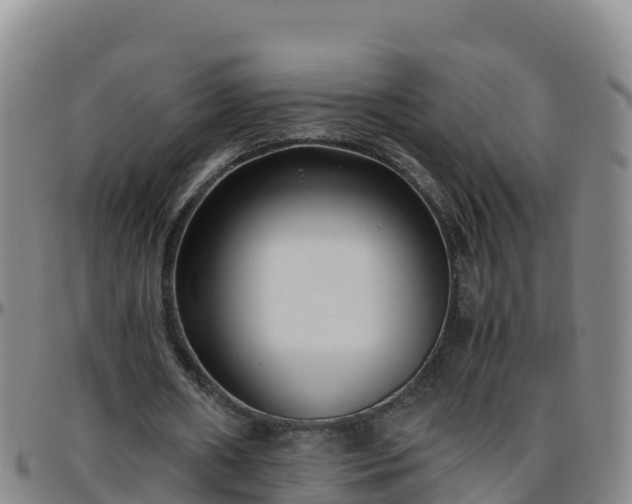 X0000096460482200801311515