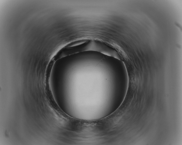 X0000096460484200801311515