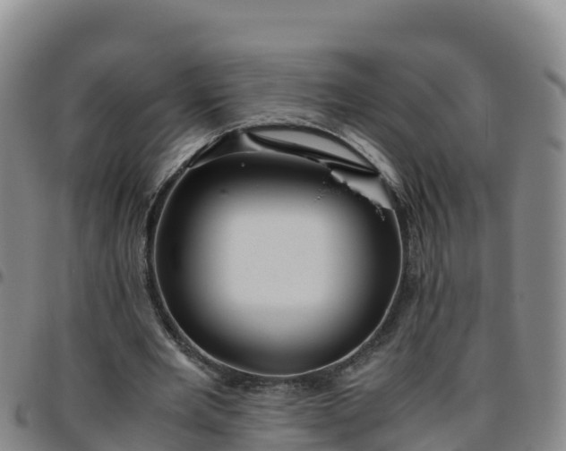 X0000096460485200801311515