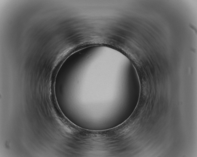 X0000096460486200801311515