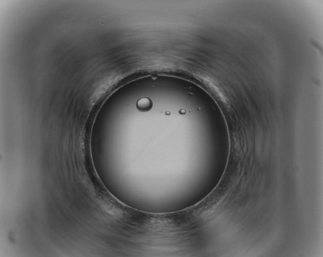X0000096460487200801311515