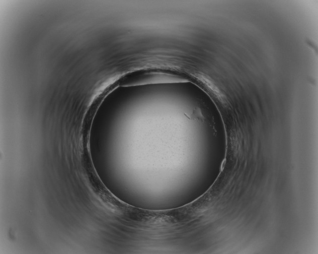 X0000096460488200801311515