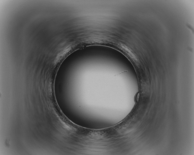 X0000096460489200801311515
