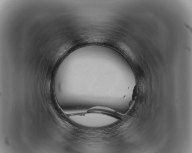 X0000096460491200801311515