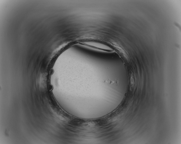 X0000096460492200801311515