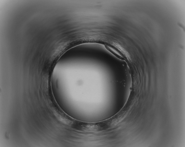 X0000096460493200801311515