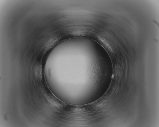 X0000096460494200801311515