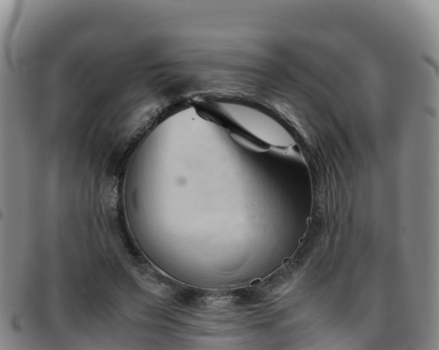 X0000096460495200801311515