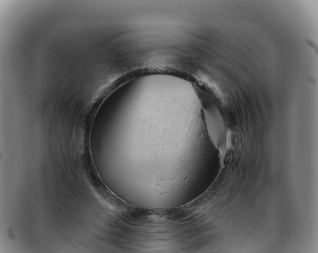 X0000096460496200801311515
