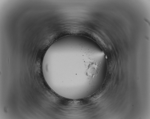 X0000096460497200801311515