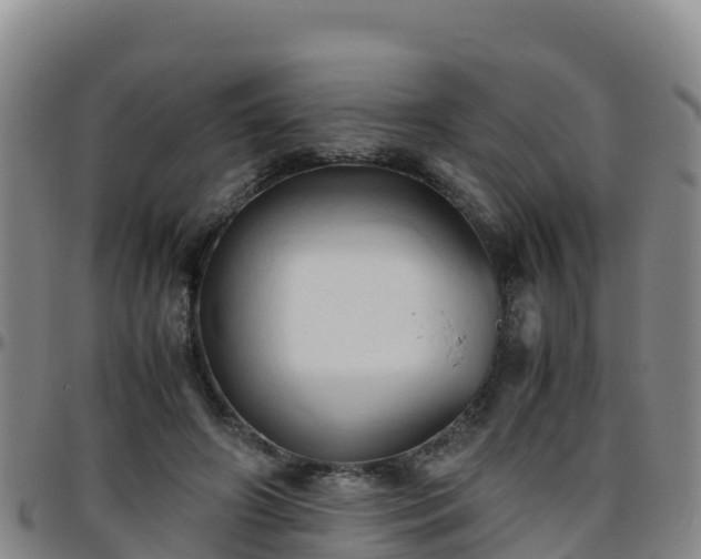 X0000096460498200801311515