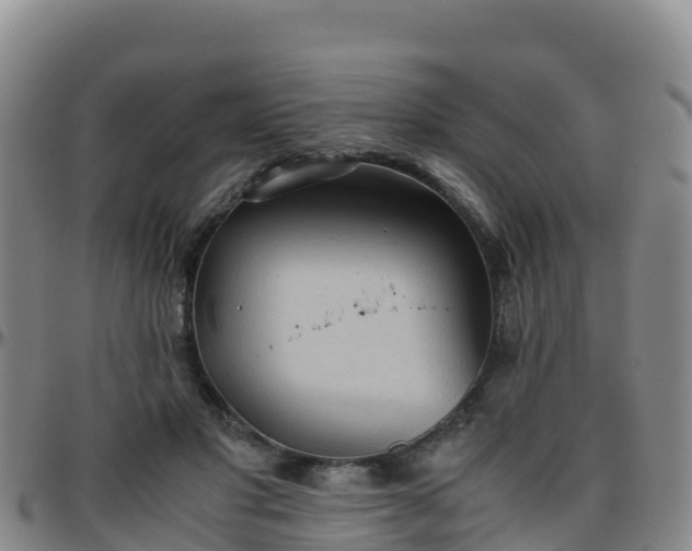 X0000096460501200801311515