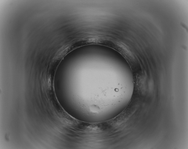 X0000096460502200801311515