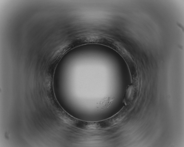 X0000096460505200801311515