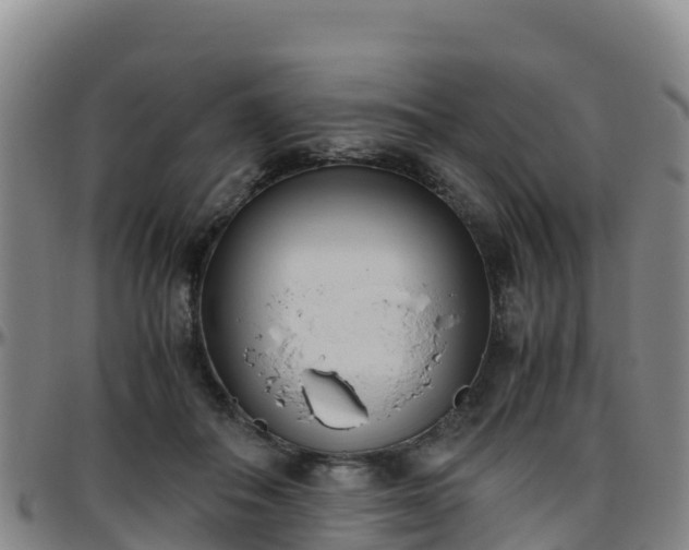 X0000096460506200801311515