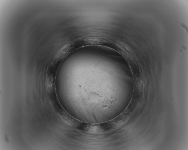 X0000096460507200801311515