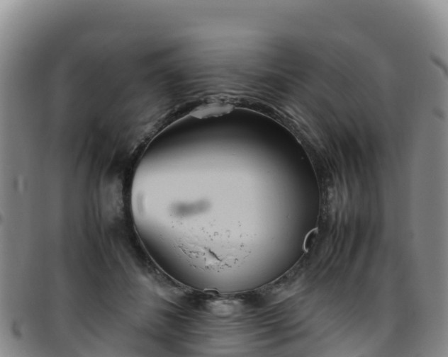 X0000096460508200801311515