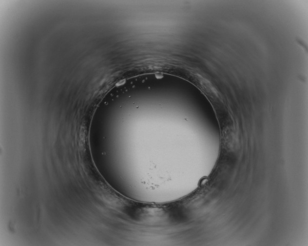 X0000096460509200801311515