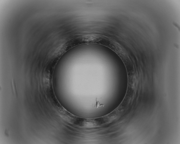 X0000096460510200801311515