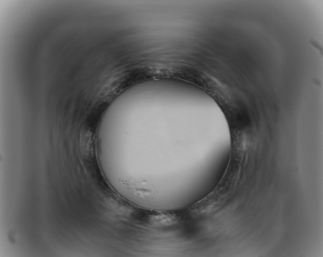 X0000096460511200801311515