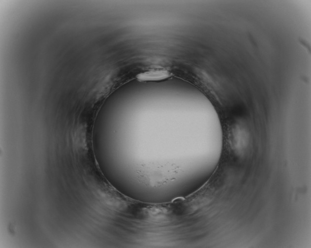 X0000096460512200801311515