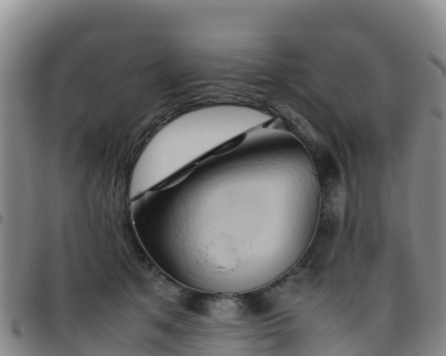 X0000096460513200801311515