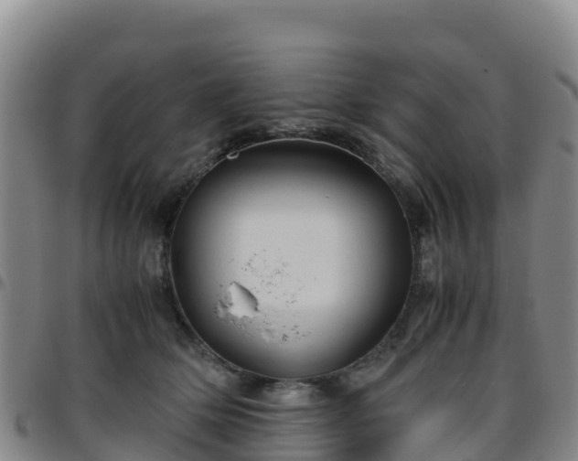 X0000096460514200801311515