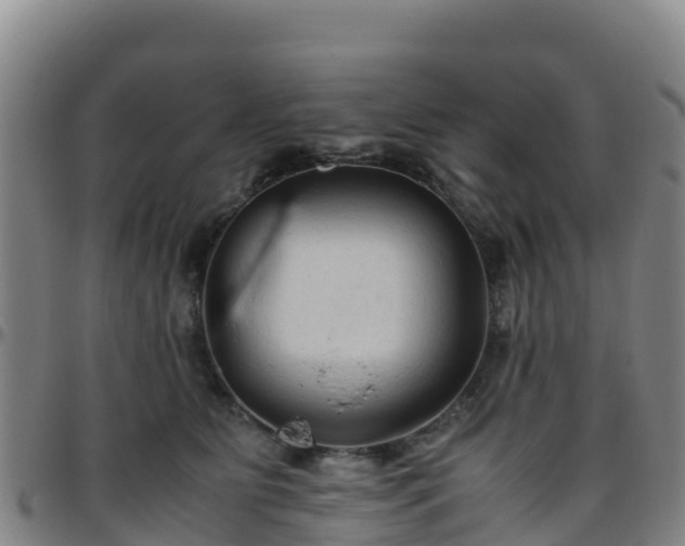 X0000096460515200801311515