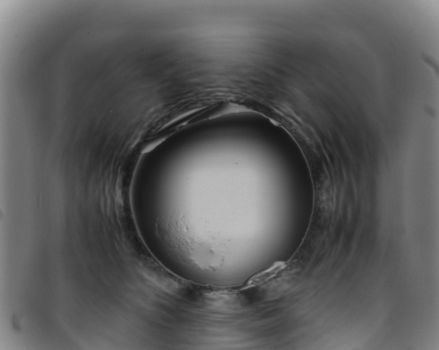 X0000096460516200801311515