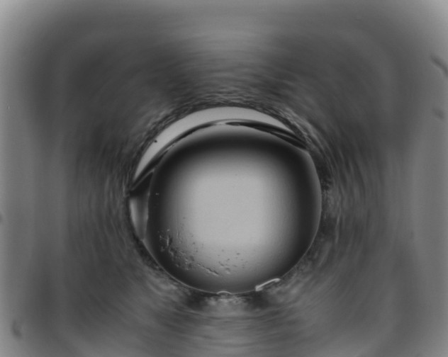 X0000096460517200801311515