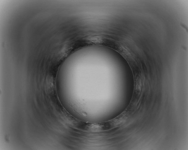 X0000096460518200801311515