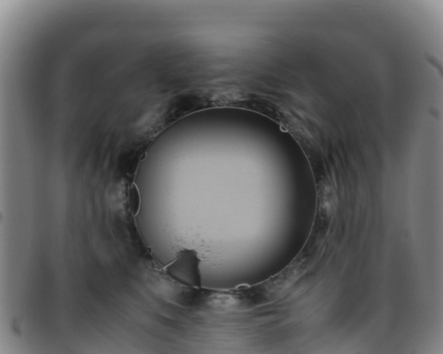 X0000096460519200801311515
