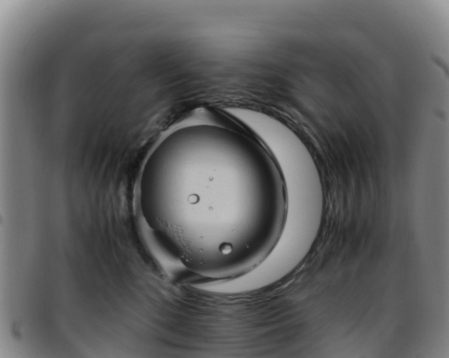 X0000096460520200801311515