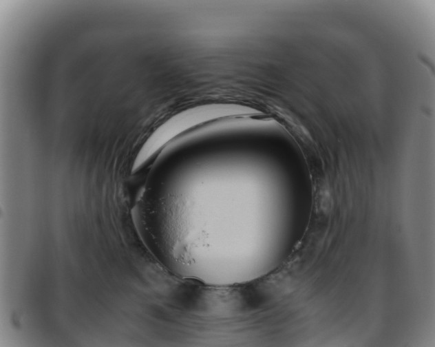 X0000096460521200801311515