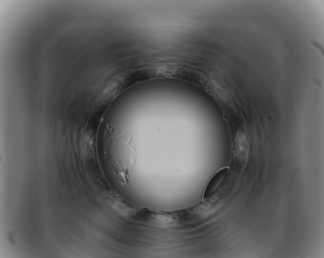 X0000096460522200801311515