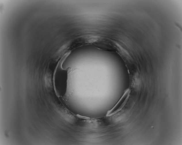 X0000096460524200801311515