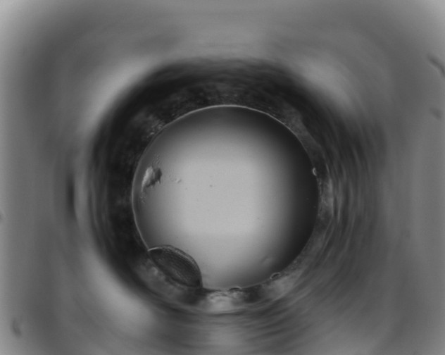 X0000096460526200801311514