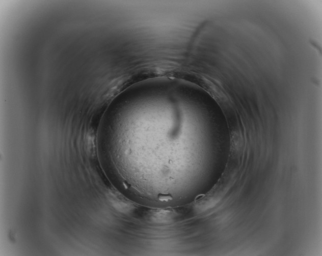 X0000096460527200801311514