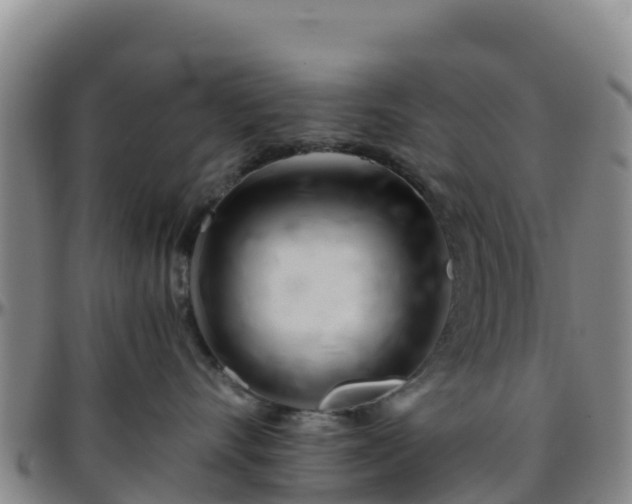 X0000096460528200801311514