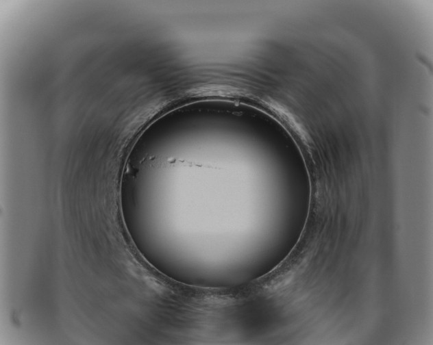 X0000096460529200801311514