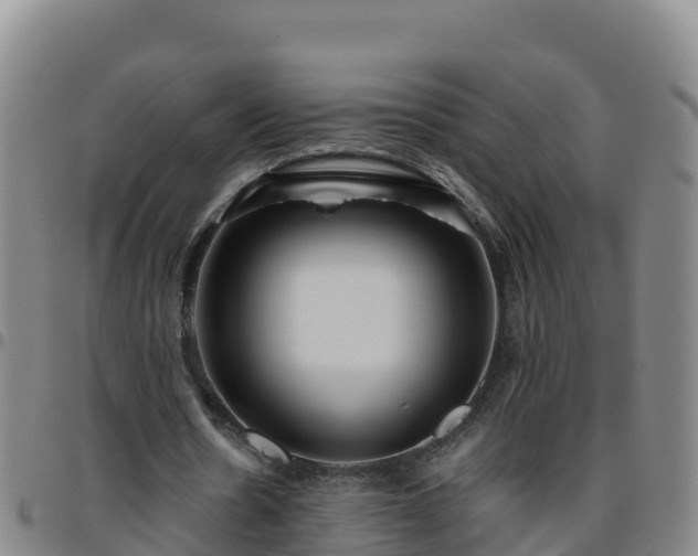 X0000096460530200801311514