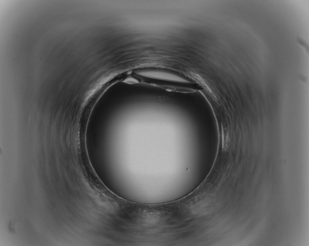 X0000096460531200801311514