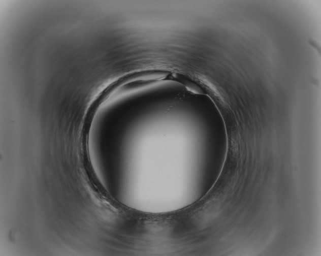 X0000096460532200801311514