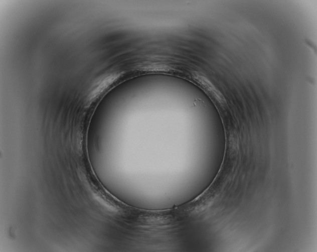 X0000096460533200801311514