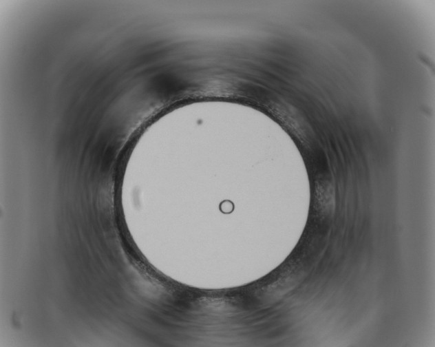 X0000096460534200801311514