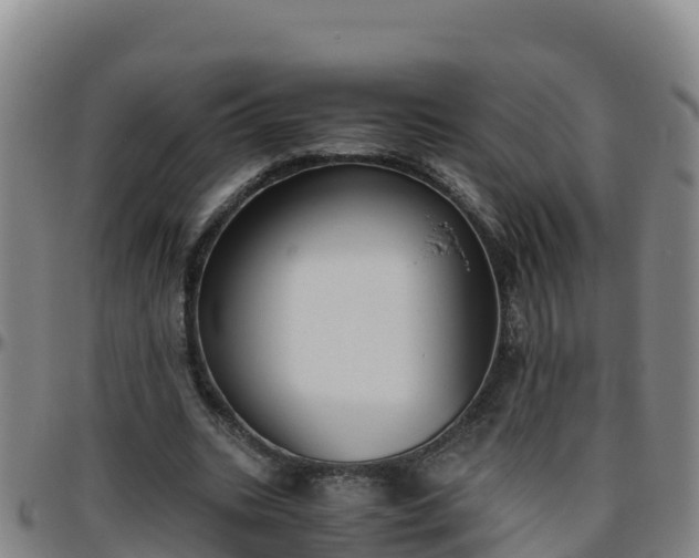 X0000096460535200801311514