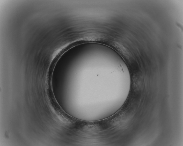 X0000096460536200801311514