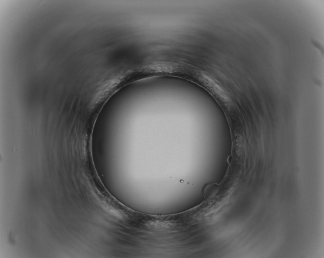 X0000096460537200801311514