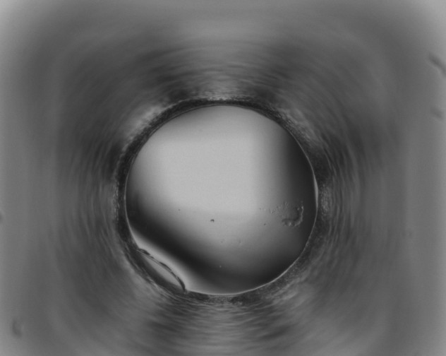 X0000096460540200801311514